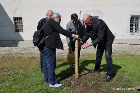 Jabolko Kanadka v spomin na sadjarja in pospeševalca Franca Pirca (7)